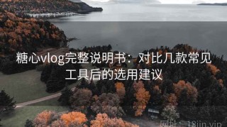 糖心vlog完整说明书：对比几款常见工具后的选用建议