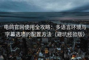 电鸽官网使用全攻略：多语言环境与字幕选项的配置方法（避坑经验版）