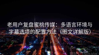老用户复盘蜜桃传媒：多语言环境与字幕选项的配置方法（图文详解版）