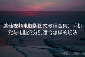 蘑菇视频电脑版图文教程合集：手机党与电脑党分别适合怎样的玩法