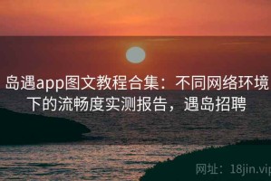 岛遇app图文教程合集：不同网络环境下的流畅度实测报告，遇岛招聘