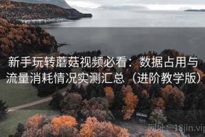 新手玩转蘑菇视频必看：数据占用与流量消耗情况实测汇总（进阶教学版）