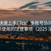 懒人快速上手17cs：多账号协同与家庭共享使用的注意事项（2025 深度版）