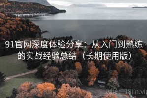 91官网深度体验分享：从入门到熟练的实战经验总结（长期使用版）