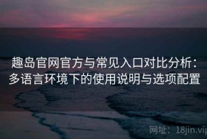 趣岛官网官方与常见入口对比分析：多语言环境下的使用说明与选项配置