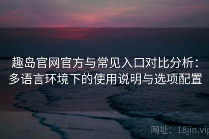 趣岛官网官方与常见入口对比分析：多语言环境下的使用说明与选项配置