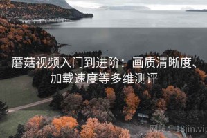 蘑菇视频入门到进阶：画质清晰度、加载速度等多维测评