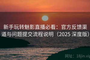 新手玩转魅影直播必看：官方反馈渠道与问题提交流程说明（2025 深度版）