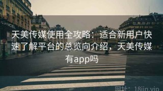 天美传媒使用全攻略：适合新用户快速了解平台的总览向介绍，天美传媒有app吗
