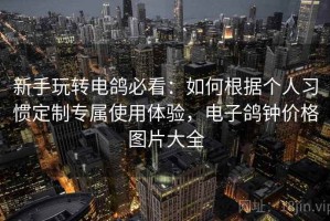新手玩转电鸽必看：如何根据个人习惯定制专属使用体验，电子鸽钟价格图片大全