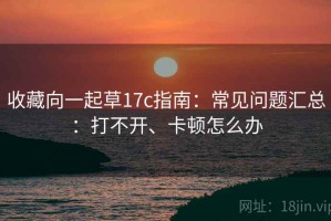 收藏向一起草17c指南：常见问题汇总：打不开、卡顿怎么办