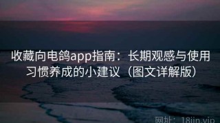 收藏向电鸽app指南：长期观感与使用习惯养成的小建议（图文详解版）