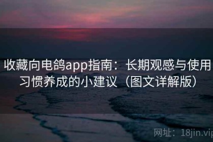 收藏向电鸽app指南：长期观感与使用习惯养成的小建议（图文详解版）