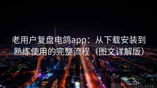 老用户复盘电鸽app：从下载安装到熟练使用的完整流程（图文详解版）