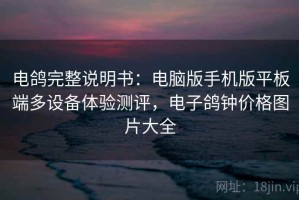 电鸽完整说明书：电脑版手机版平板端多设备体验测评，电子鸽钟价格图片大全