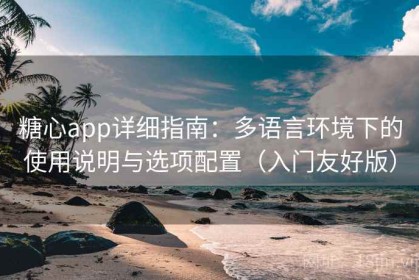 糖心app详细指南：多语言环境下的使用说明与选项配置（入门友好版）
