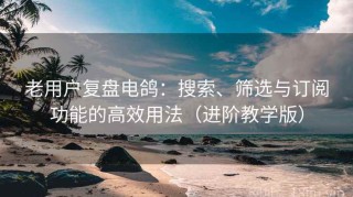 老用户复盘电鸽：搜索、筛选与订阅功能的高效用法（进阶教学版）