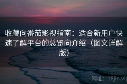 收藏向番茄影视指南：适合新用户快速了解平台的总览向介绍（图文详解版）