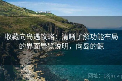 收藏向岛遇攻略：清晰了解功能布局的界面导览说明，向岛的鲸