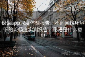 秘语app深度体验报告：不同网络环境下的流畅度实测报告，秘语是什么意思