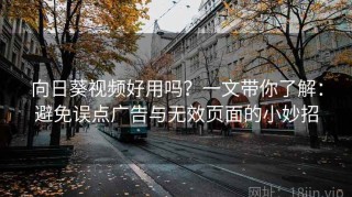 向日葵视频好用吗？一文带你了解：避免误点广告与无效页面的小妙招