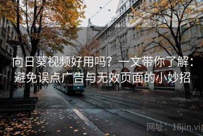 向日葵视频好用吗？一文带你了解：避免误点广告与无效页面的小妙招