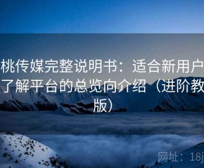 蜜桃传媒完整说明书：适合新用户快速了解平台的总览向介绍（进阶教学版）