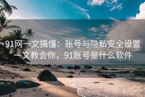 91网一文搞懂：账号与隐私安全设置一文教会你，91账号是什么软件