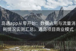岛遇app从零开始：数据占用与流量消耗情况实测汇总，遇岛项目商业模式