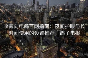 收藏向电鸽官网指南：夜间护眼与长时间使用的设置推荐，鸽子电报