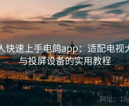 懒人快速上手电鸽app：适配电视大屏与投屏设备的实用教程