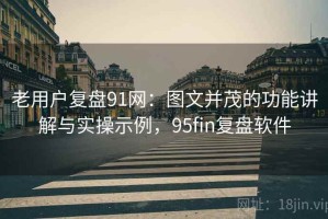 老用户复盘91网：图文并茂的功能讲解与实操示例，95fin复盘软件