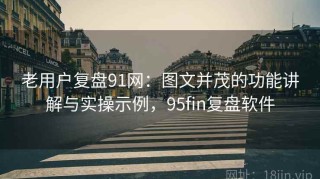 老用户复盘91网：图文并茂的功能讲解与实操示例，95fin复盘软件