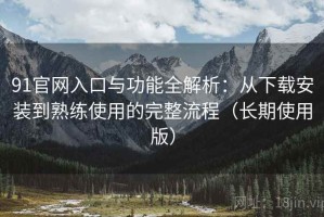 91官网入口与功能全解析：从下载安装到熟练使用的完整流程（长期使用版）