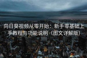向日葵视频从零开始：新手零基础上手教程与功能说明（图文详解版）