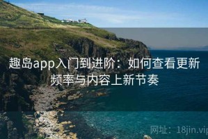 趣岛app入门到进阶：如何查看更新频率与内容上新节奏