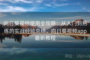 向日葵视频使用全攻略：从入门到熟练的实战经验总结，向日葵视频app最新教程