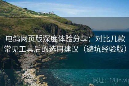 电鸽网页版深度体验分享：对比几款常见工具后的选用建议（避坑经验版）