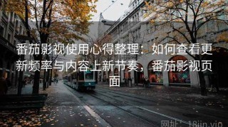 番茄影视使用心得整理：如何查看更新频率与内容上新节奏，番茄影视页面
