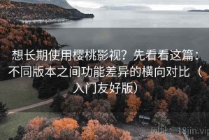 想长期使用樱桃影视？先看看这篇：不同版本之间功能差异的横向对比（入门友好版）