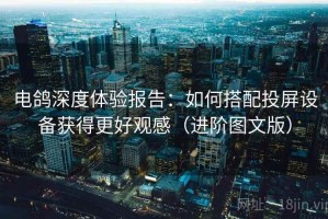 电鸽深度体验报告：如何搭配投屏设备获得更好观感（进阶图文版）
