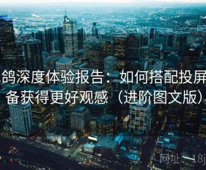 电鸽深度体验报告：如何搭配投屏设备获得更好观感（进阶图文版）