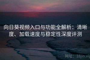 向日葵视频入口与功能全解析：清晰度、加载速度与稳定性深度评测