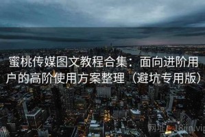 蜜桃传媒图文教程合集：面向进阶用户的高阶使用方案整理（避坑专用版）