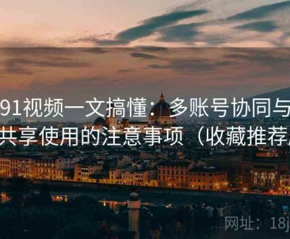 新91视频一文搞懂：多账号协同与家庭共享使用的注意事项（收藏推荐版）