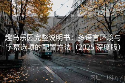 趣岛乐园完整说明书：多语言环境与字幕选项的配置方法（2025 深度版）