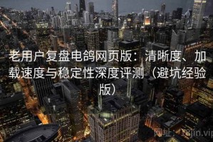 老用户复盘电鸽网页版：清晰度、加载速度与稳定性深度评测（避坑经验版）