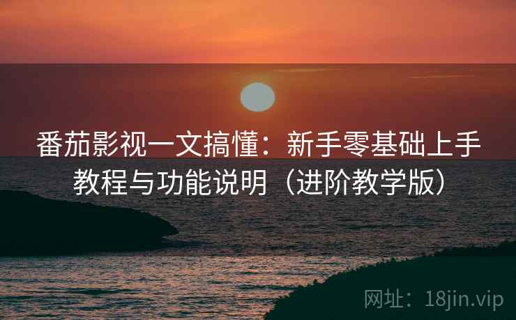 番茄影视一文搞懂：新手零基础上手教程与功能说明（进阶教学版）