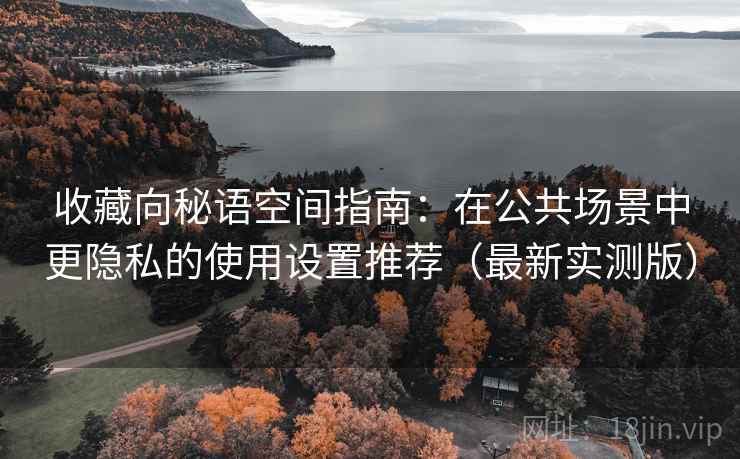 收藏向秘语空间指南：在公共场景中更隐私的使用设置推荐（最新实测版）