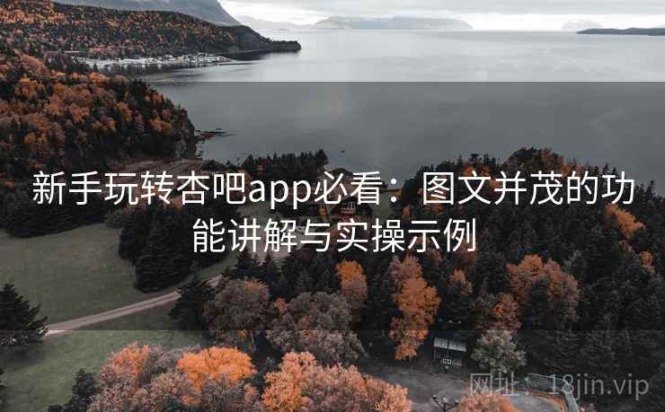 新手玩转杏吧app必看：图文并茂的功能讲解与实操示例